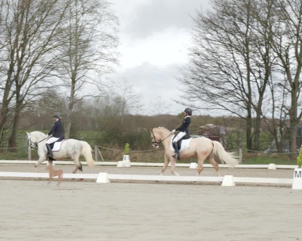 Reitturnier Scharnebeck 2021
