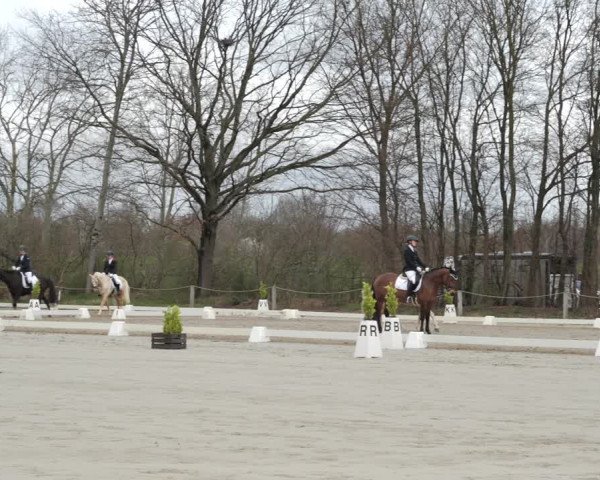 Reitturnier Scharnebeck 2021