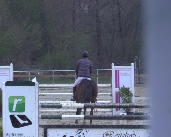 Reitturnier Oelde 2021