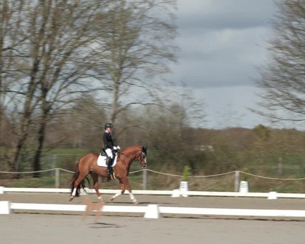 Reitturnier Scharnebeck 2021