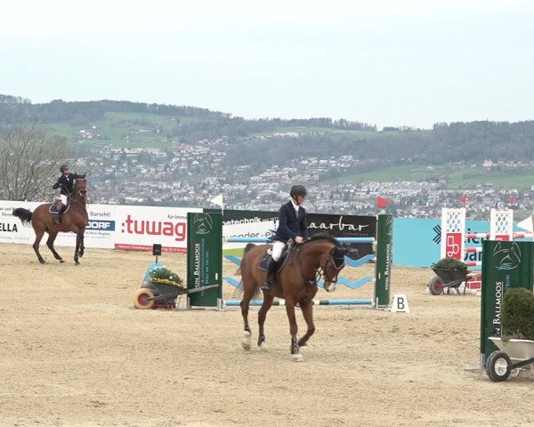 Reitturnier Wädenswil 2021