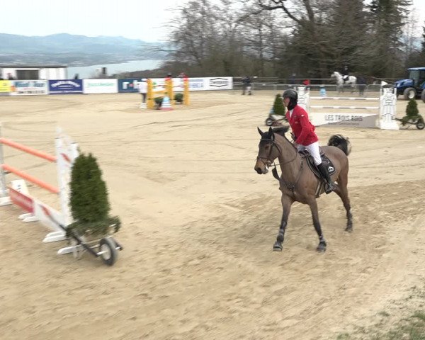 Reitturnier Wädenswil 2021