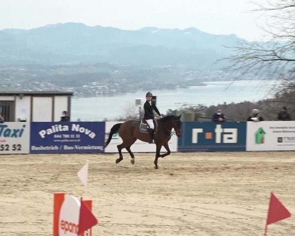 Reitturnier Wädenswil 2021