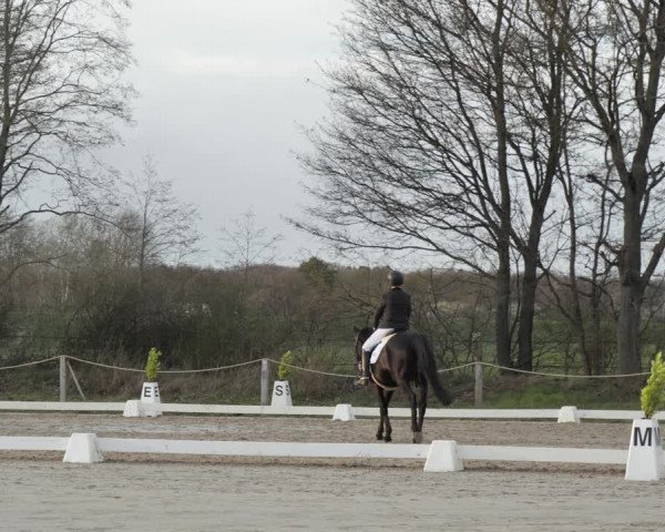 Reitturnier Scharnebeck 2021