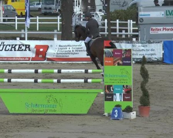 jumper Like a Lord GD (Westphalian, 2007, from Luxius)