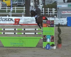 jumper Like a Lord GD (Westphalian, 2007, from Luxius)