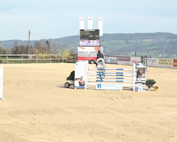 Reitturnier Wädenswil 2021