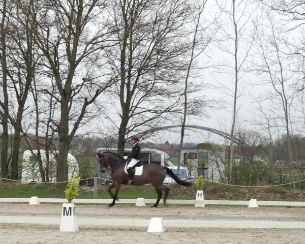 Reitturnier Scharnebeck 2021