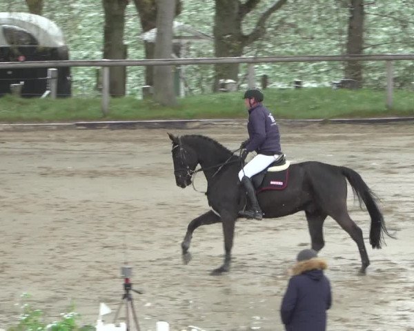 Reitturnier Erkrath - Uhlenhof 2021