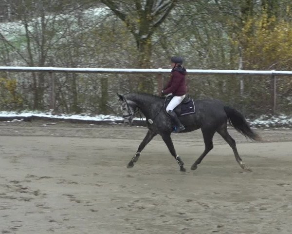 Reitturnier Erkrath - Uhlenhof 2021