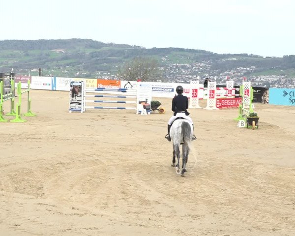 Reitturnier Wädenswil 2021