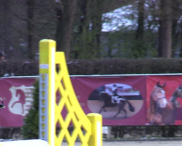 Reitturnier Münster-Handorf 2021