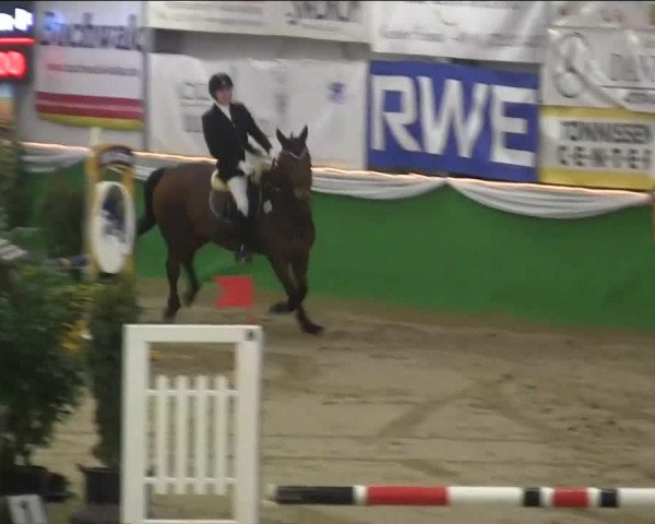 jumper Graziosa 10 (Hanoverian, 1997, from Glueckspilz)