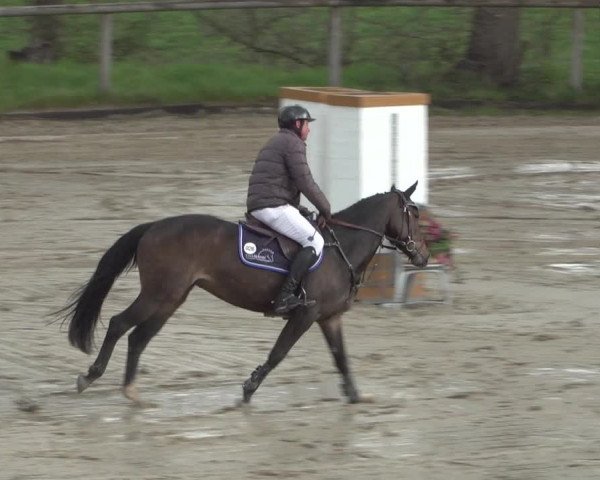 Reitturnier Erkrath - Uhlenhof 2021