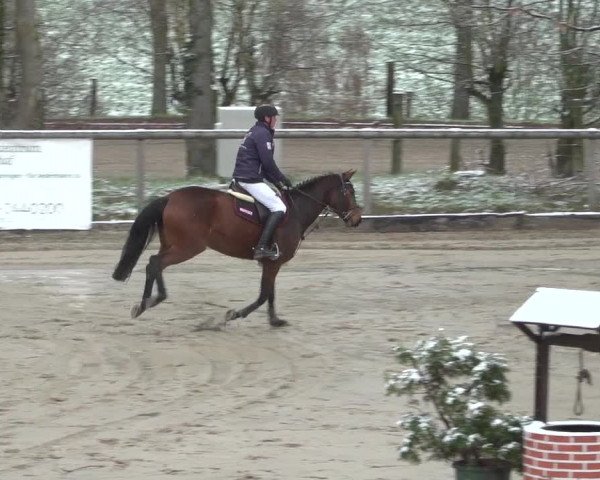 Reitturnier Erkrath - Uhlenhof 2021