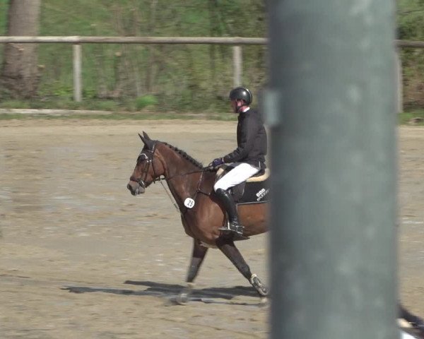 Reitturnier Erkrath - Uhlenhof 2021