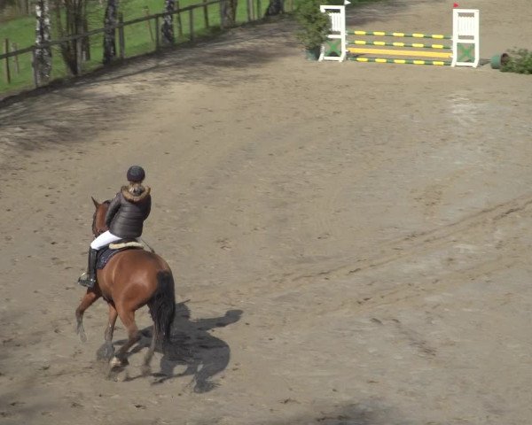 Reitturnier Erkrath - Uhlenhof 2021