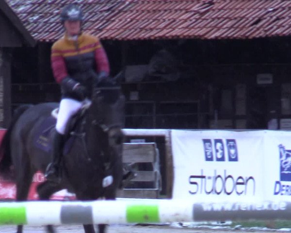 Reitturnier Münster-Handorf 2021