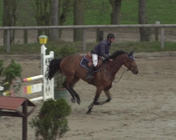 Reitturnier Erkrath - Uhlenhof 2021