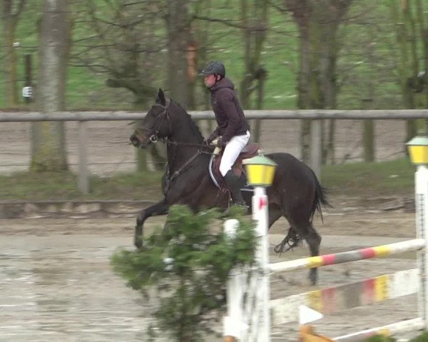 Reitturnier Erkrath - Uhlenhof 2021