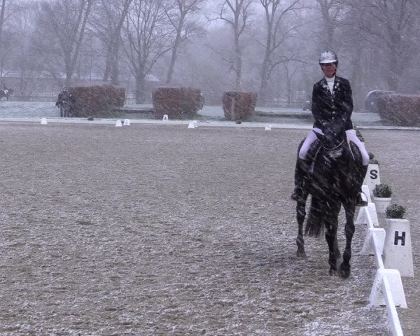 Reitturnier Münster-Handorf 2021