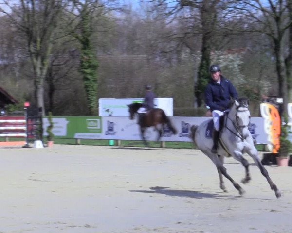 Reitturnier Münster-Handorf 2021
