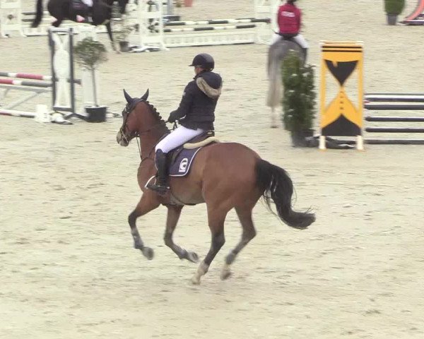 Reitturnier Westergellersen 2021