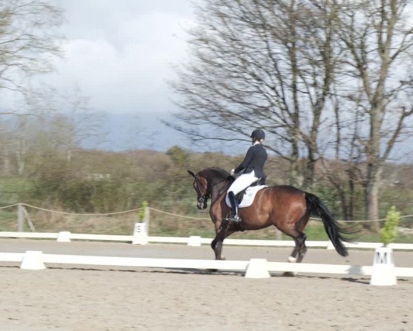 Reitturnier Scharnebeck 2021