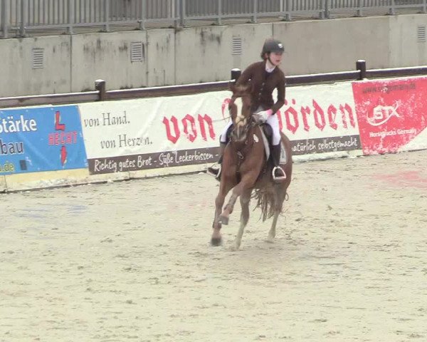 Reitturnier Westergellersen 2021