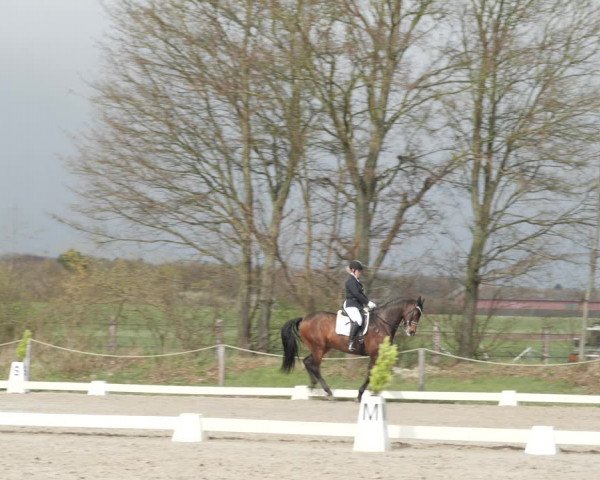 Reitturnier Scharnebeck 2021