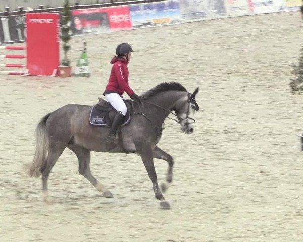 Reitturnier Westergellersen 2021
