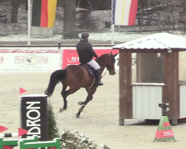 Reitturnier Westergellersen 2021