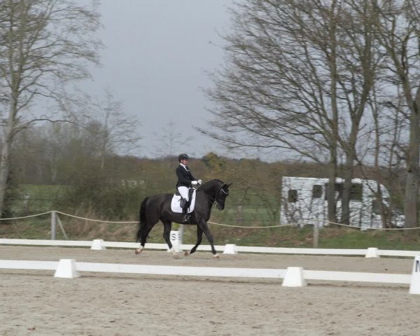 Reitturnier Scharnebeck 2021