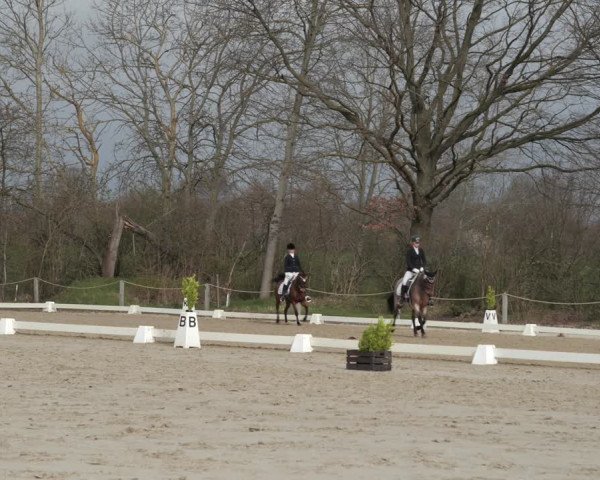 Reitturnier Scharnebeck 2021
