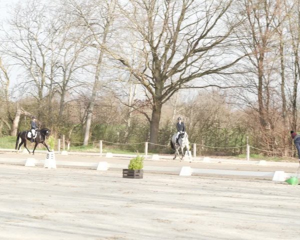 Reitturnier Scharnebeck 2021