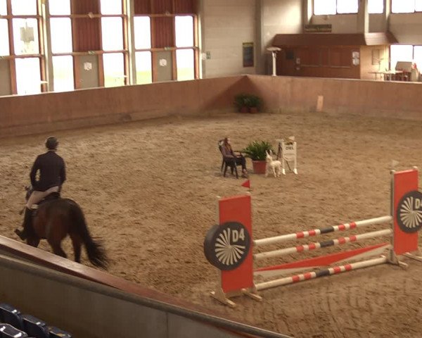 Reitturnier Prussendorf 2021