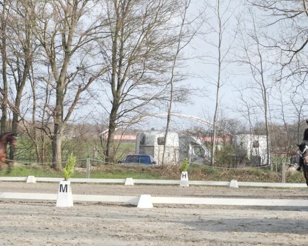 Reitturnier Scharnebeck 2021