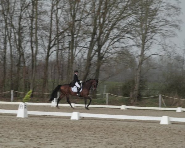 Reitturnier Scharnebeck 2021