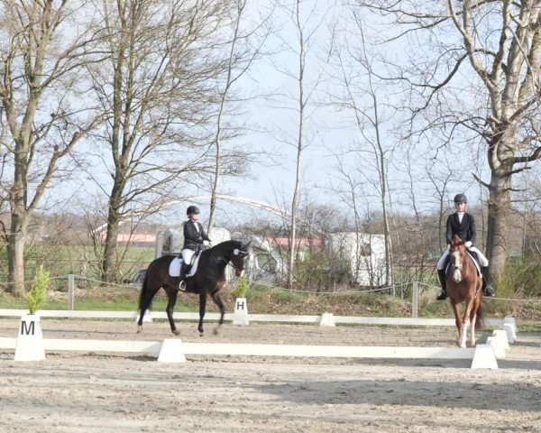 Reitturnier Scharnebeck 2021