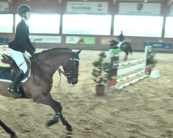 Reitturnier Gut Winkelacker/Obb. 2021