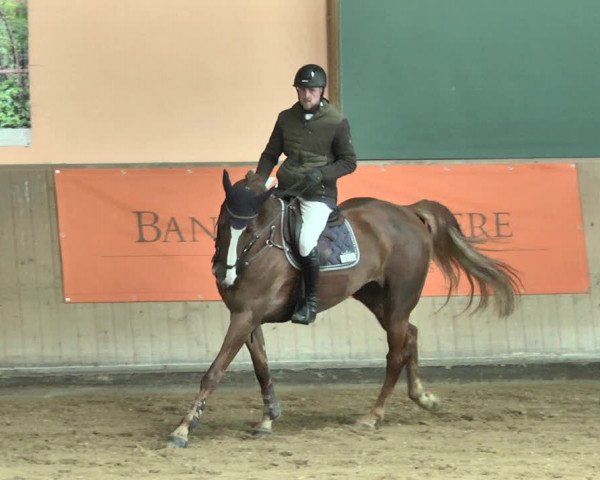 Reitturnier Gut Winkelacker/Obb. 2021