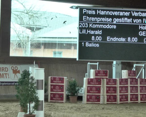 Reitturnier Gut Winkelacker/Obb. 2021
