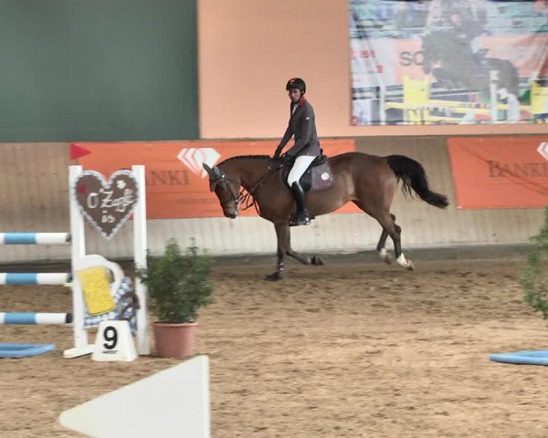 Reitturnier Gut Winkelacker/Obb. 2021