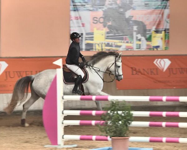 Reitturnier Gut Winkelacker/Obb. 2021