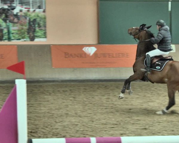 Reitturnier Gut Winkelacker/Obb. 2021