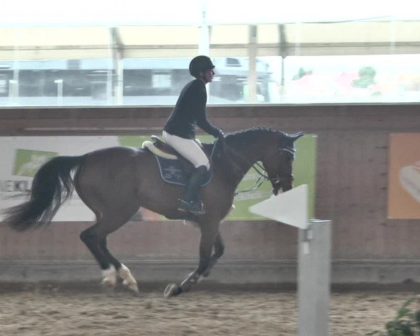 Reitturnier Gut Winkelacker/Obb. 2021