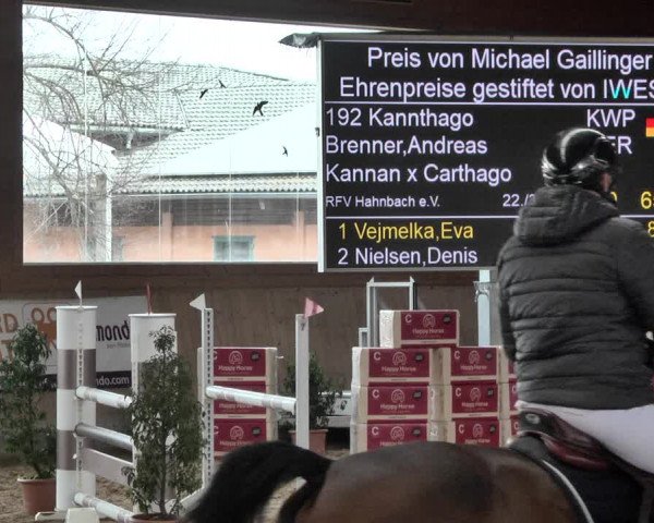 Reitturnier Gut Winkelacker/Obb. 2021