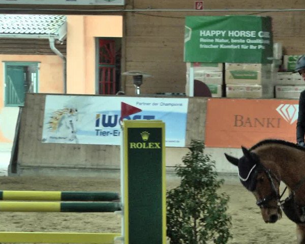 Reitturnier Gut Winkelacker/Obb. 2021