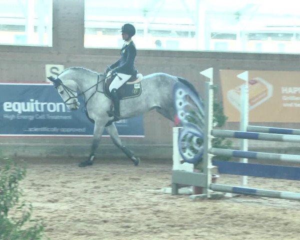 Reitturnier Gut Winkelacker/Obb. 2021