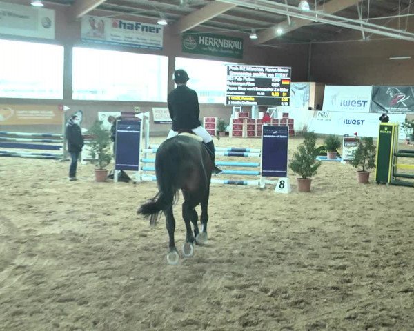 Reitturnier Gut Winkelacker/Obb. 2021